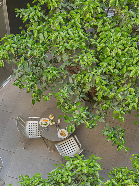 Lunch by the Orange Trees Courtyard of the Mercer Hotel Barcelona